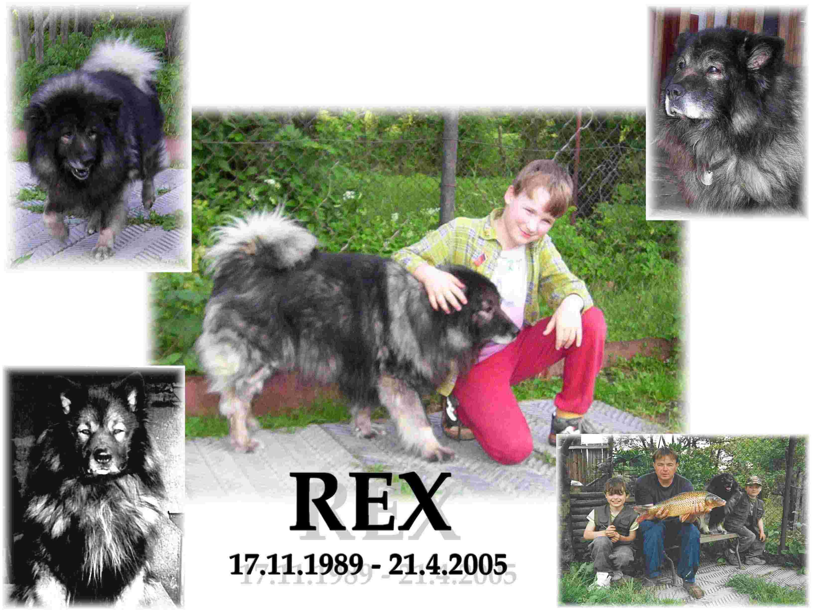 10 - nikdy nezapomeneme Rexi
