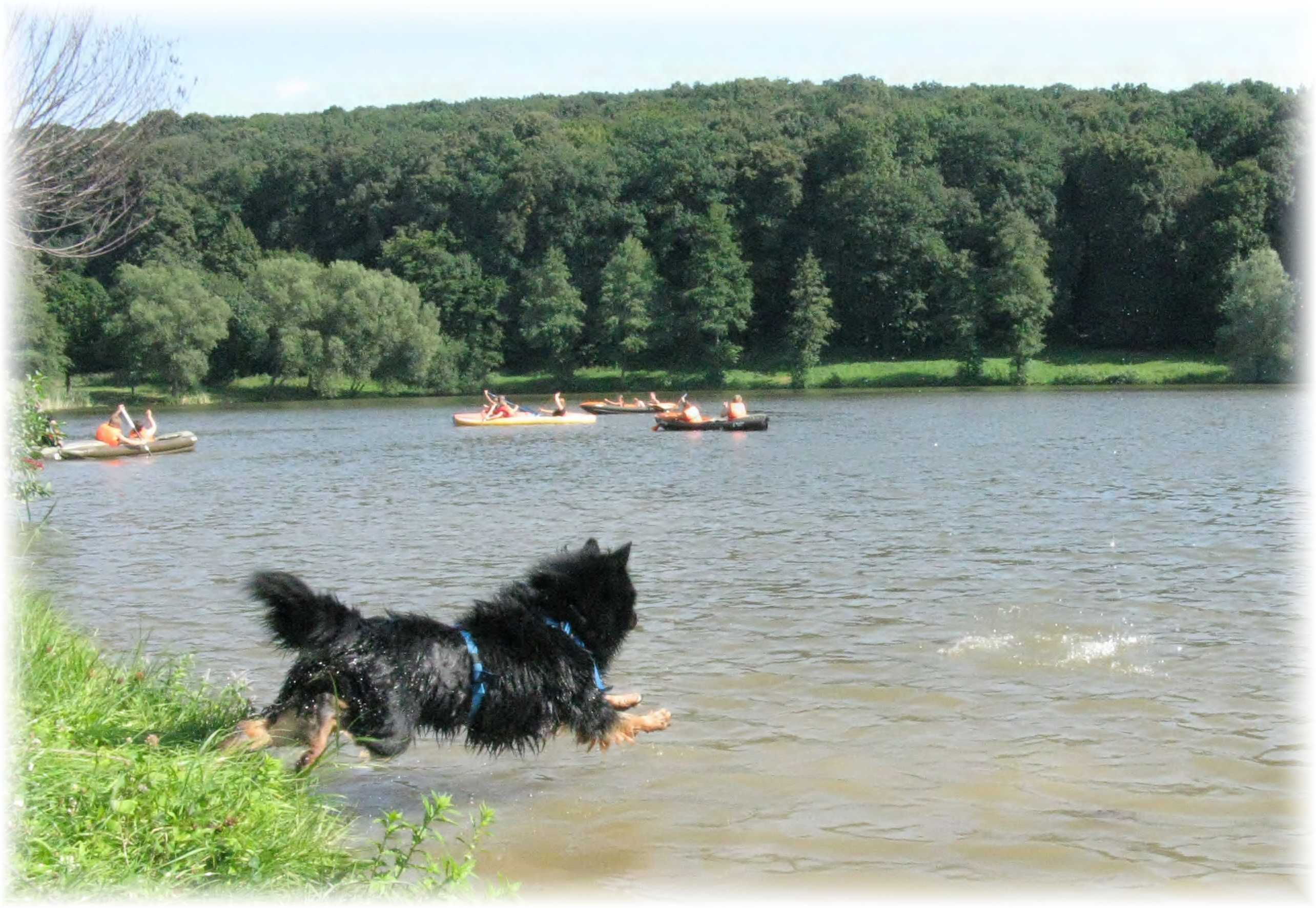 17 - vodní záchranář