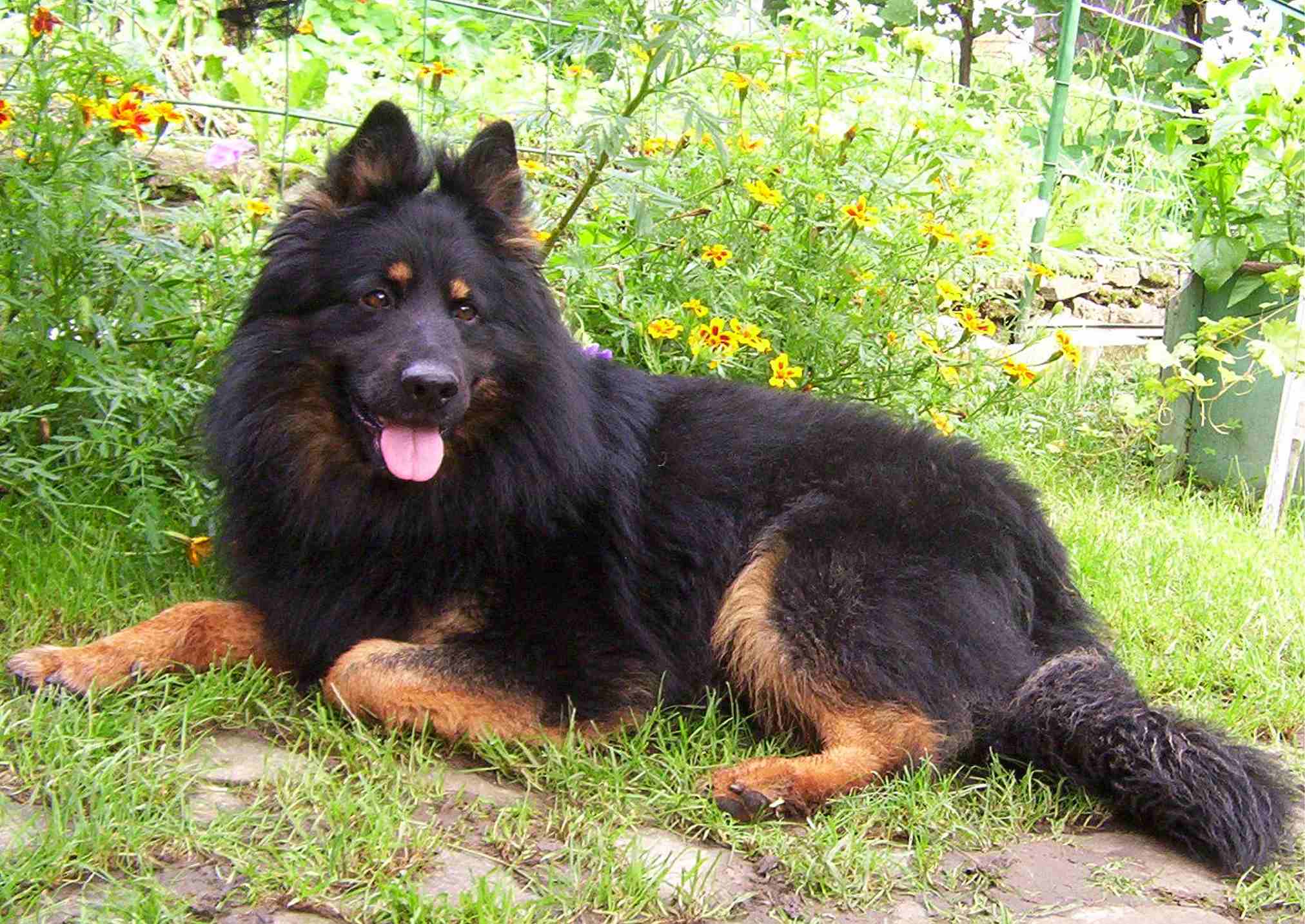 28 - na chatě