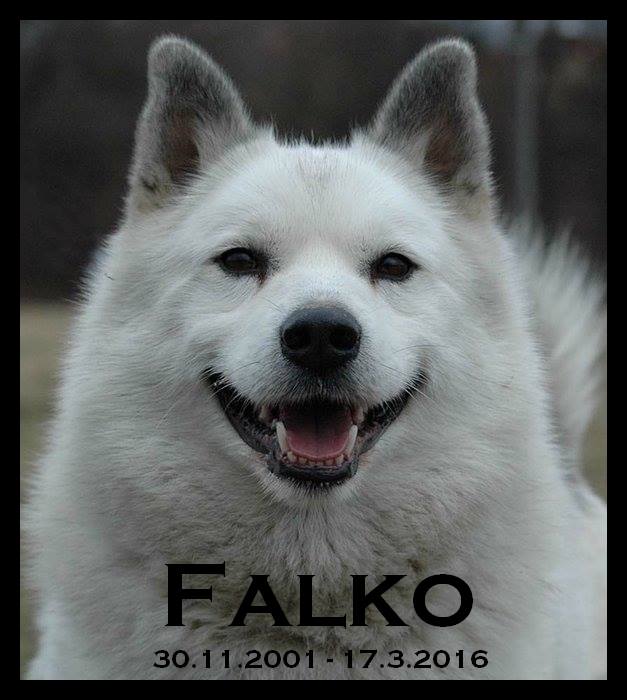 22 - Faloušku, nikdy nezpomeneme !!!