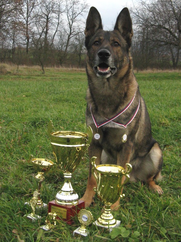 37 - sbírka trofejí