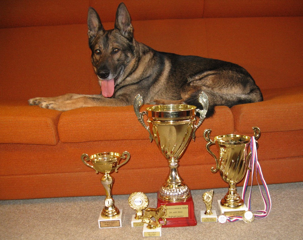 36 - sbírka trofejí