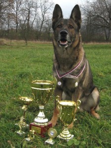 37---sbirka-trofeji.jpg